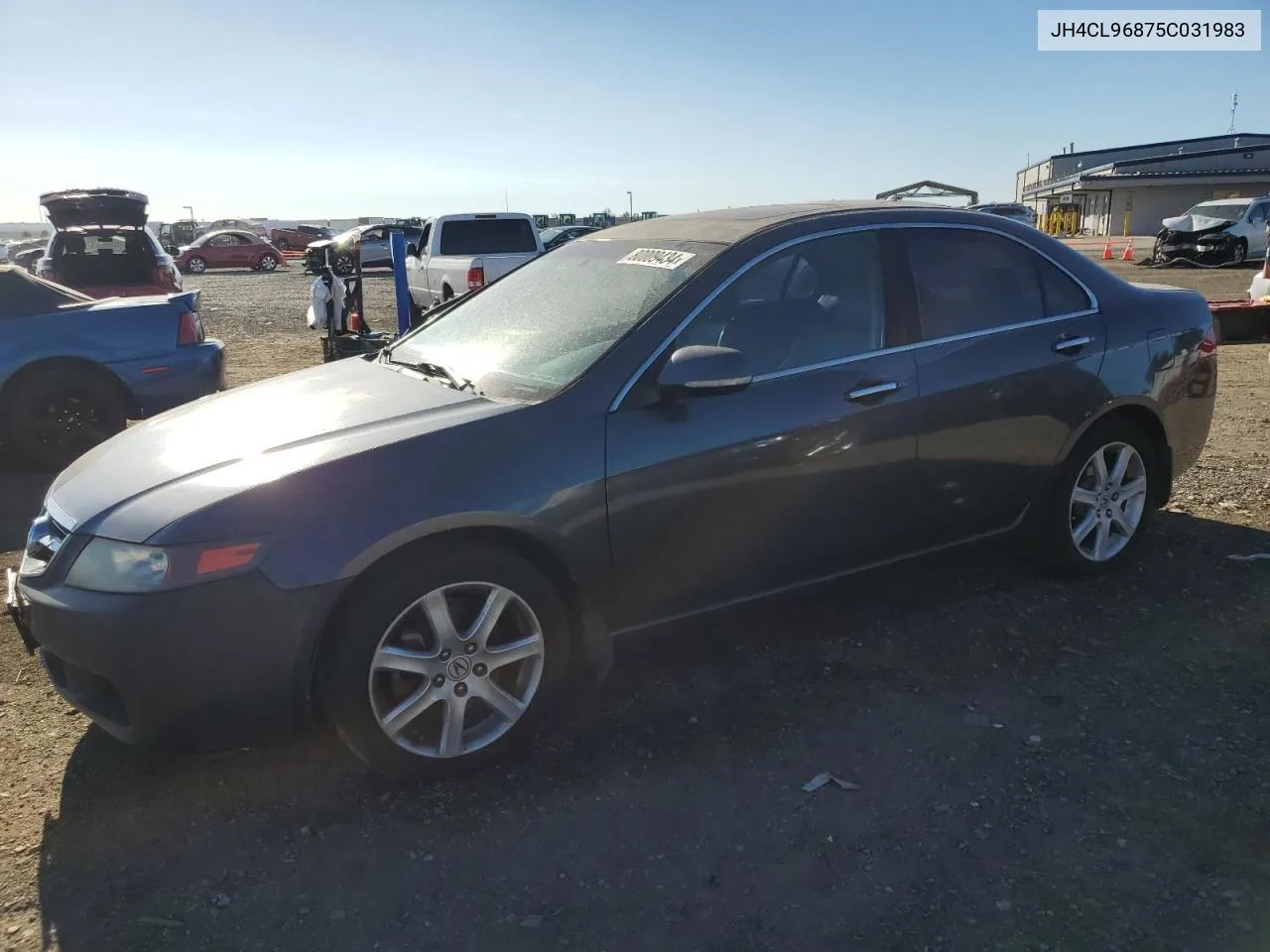 2005 Acura Tsx VIN: JH4CL96875C031983 Lot: 80009434