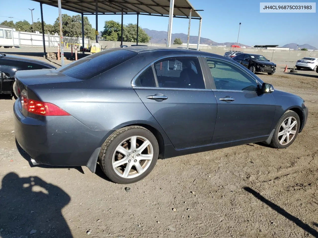 2005 Acura Tsx VIN: JH4CL96875C031983 Lot: 80009434