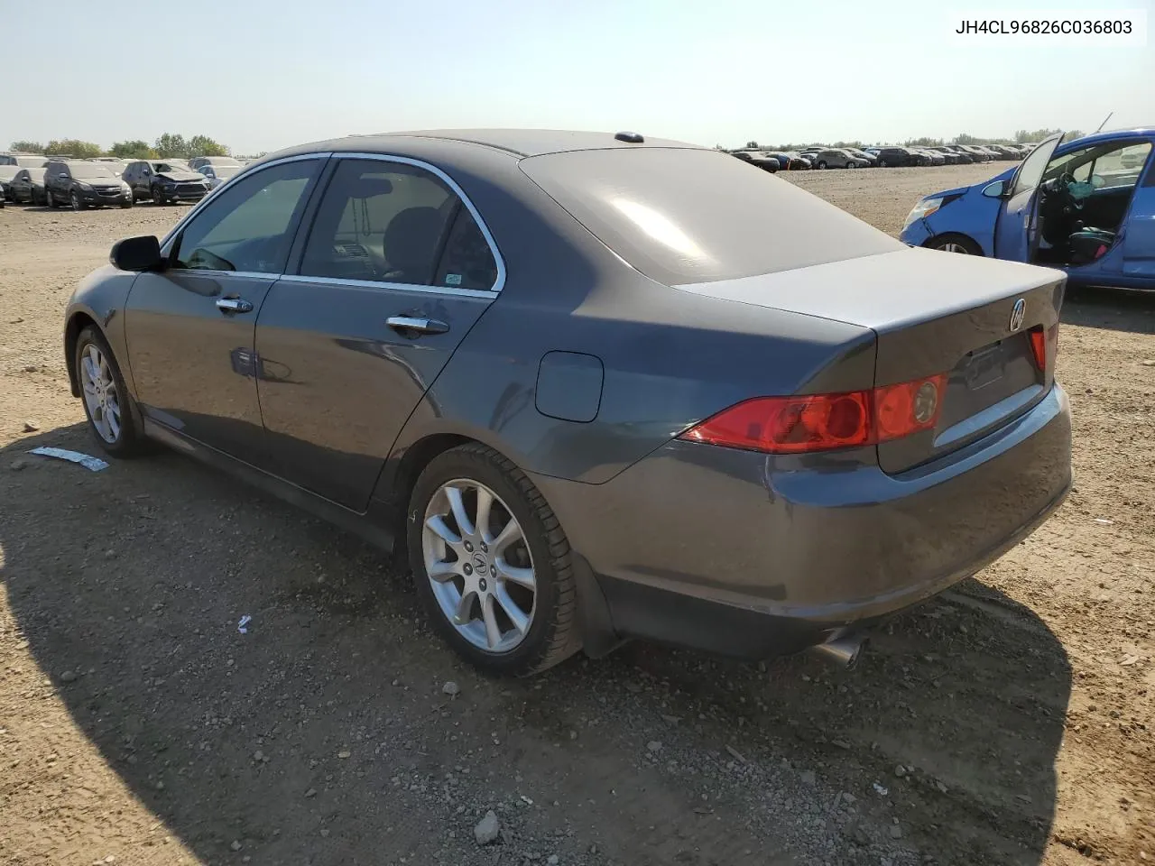 2006 Acura Tsx VIN: JH4CL96826C036803 Lot: 71812034