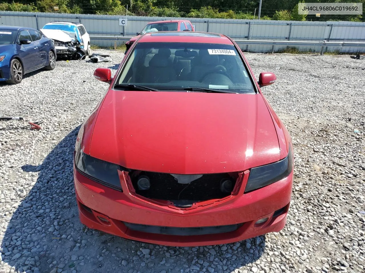 2006 Acura Tsx VIN: JH4CL96806C019692 Lot: 73134004