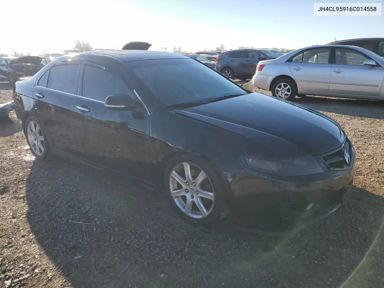 2006 Acura Tsx VIN: JH4CL95916C014558 Lot: 75290304