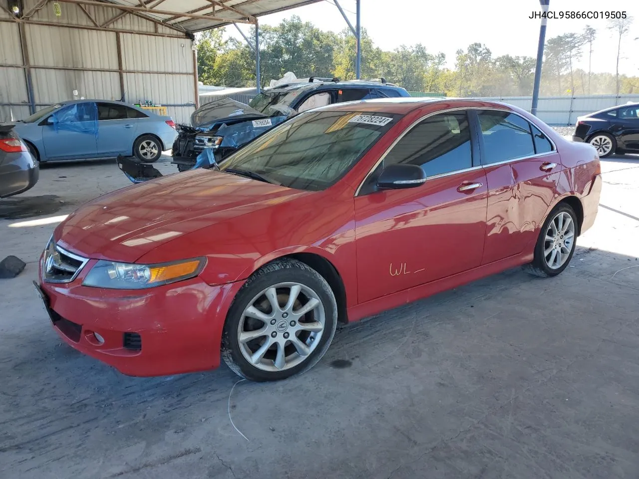 2006 Acura Tsx VIN: JH4CL95866C019505 Lot: 76728224