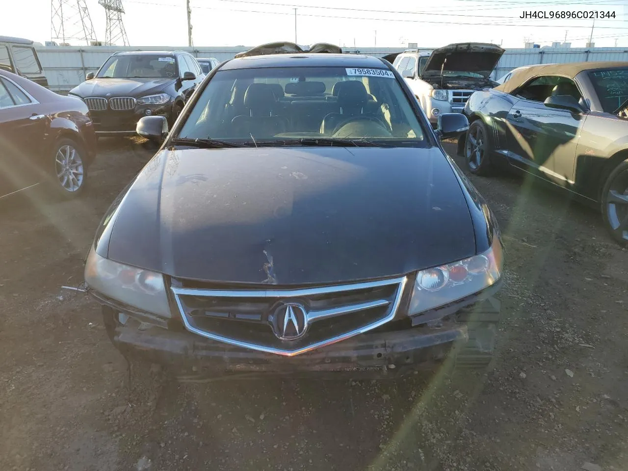 2006 Acura Tsx VIN: JH4CL96896C021344 Lot: 79583504