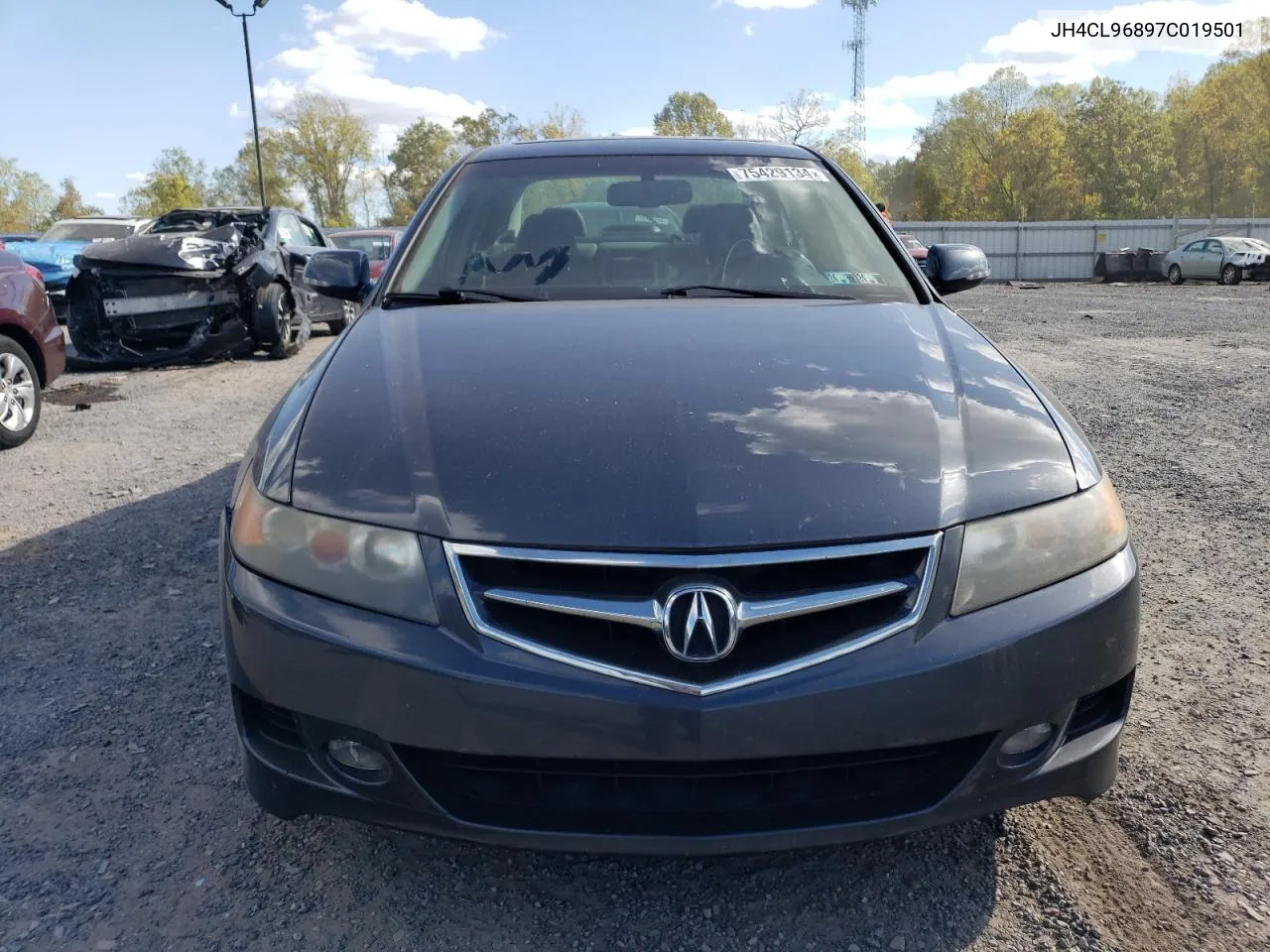 2007 Acura Tsx VIN: JH4CL96897C019501 Lot: 75429134