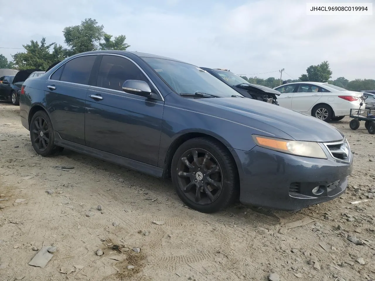 2008 Acura Tsx VIN: JH4CL96908C019994 Lot: 61964414