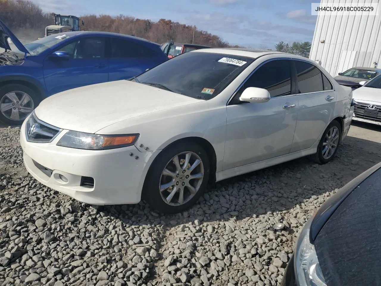 2008 Acura Tsx VIN: JH4CL96918C005229 Lot: 79064784