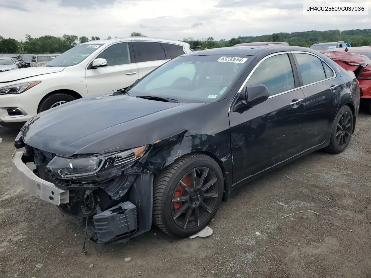 2009 Acura Tsx VIN: JH4CU25609C037036 Lot: 53238854