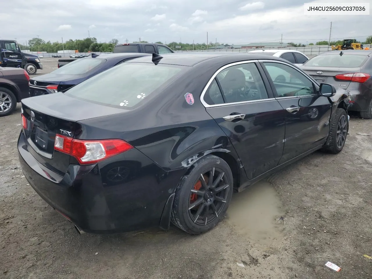 2009 Acura Tsx VIN: JH4CU25609C037036 Lot: 53238854