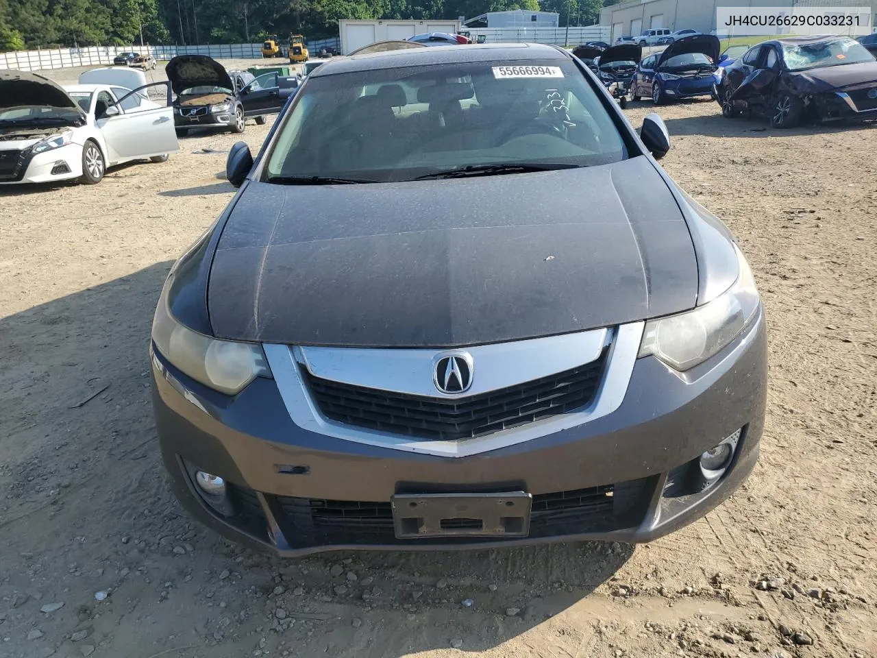 2009 Acura Tsx VIN: JH4CU26629C033231 Lot: 55666994