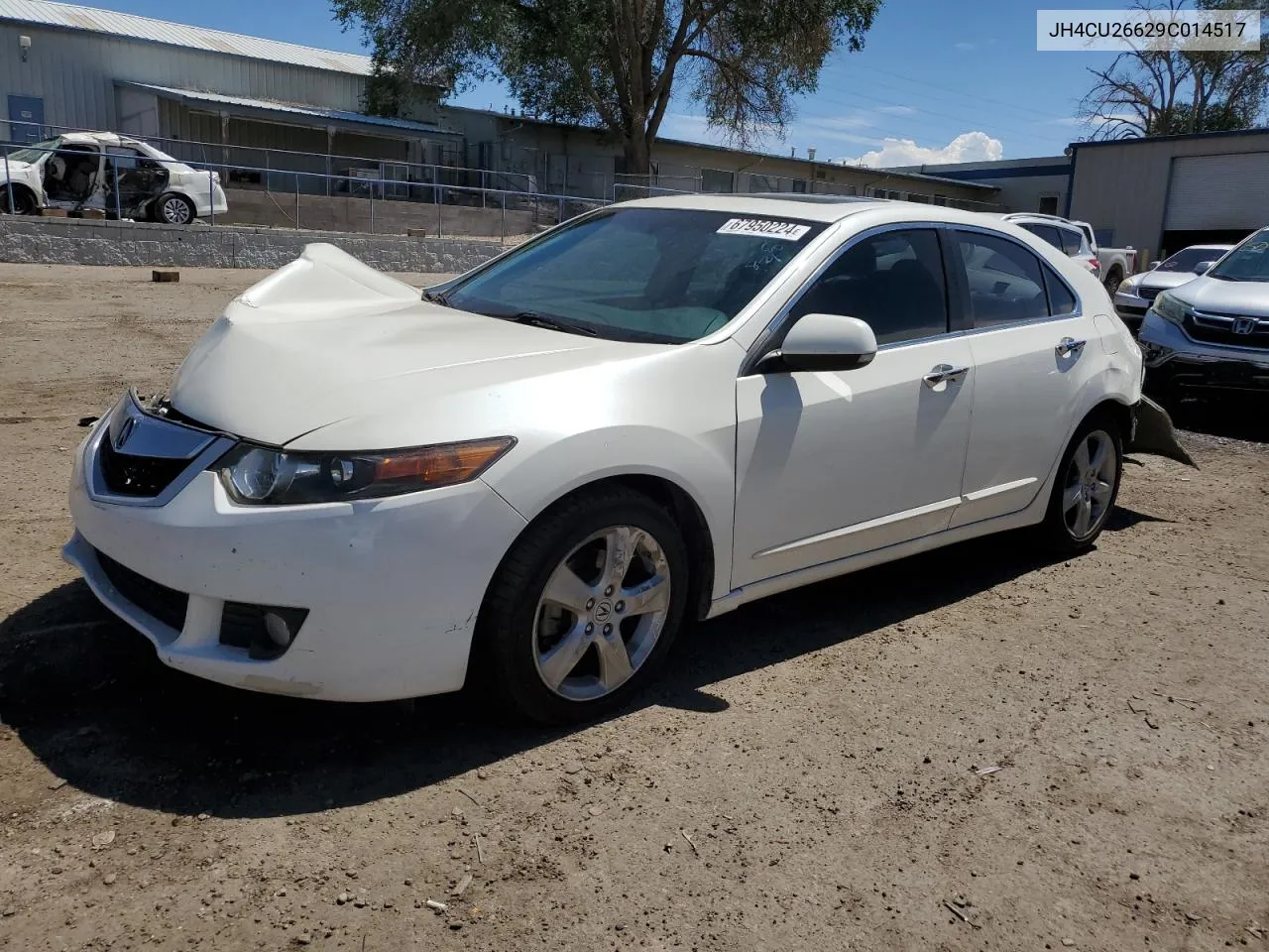 2009 Acura Tsx VIN: JH4CU26629C014517 Lot: 67950224