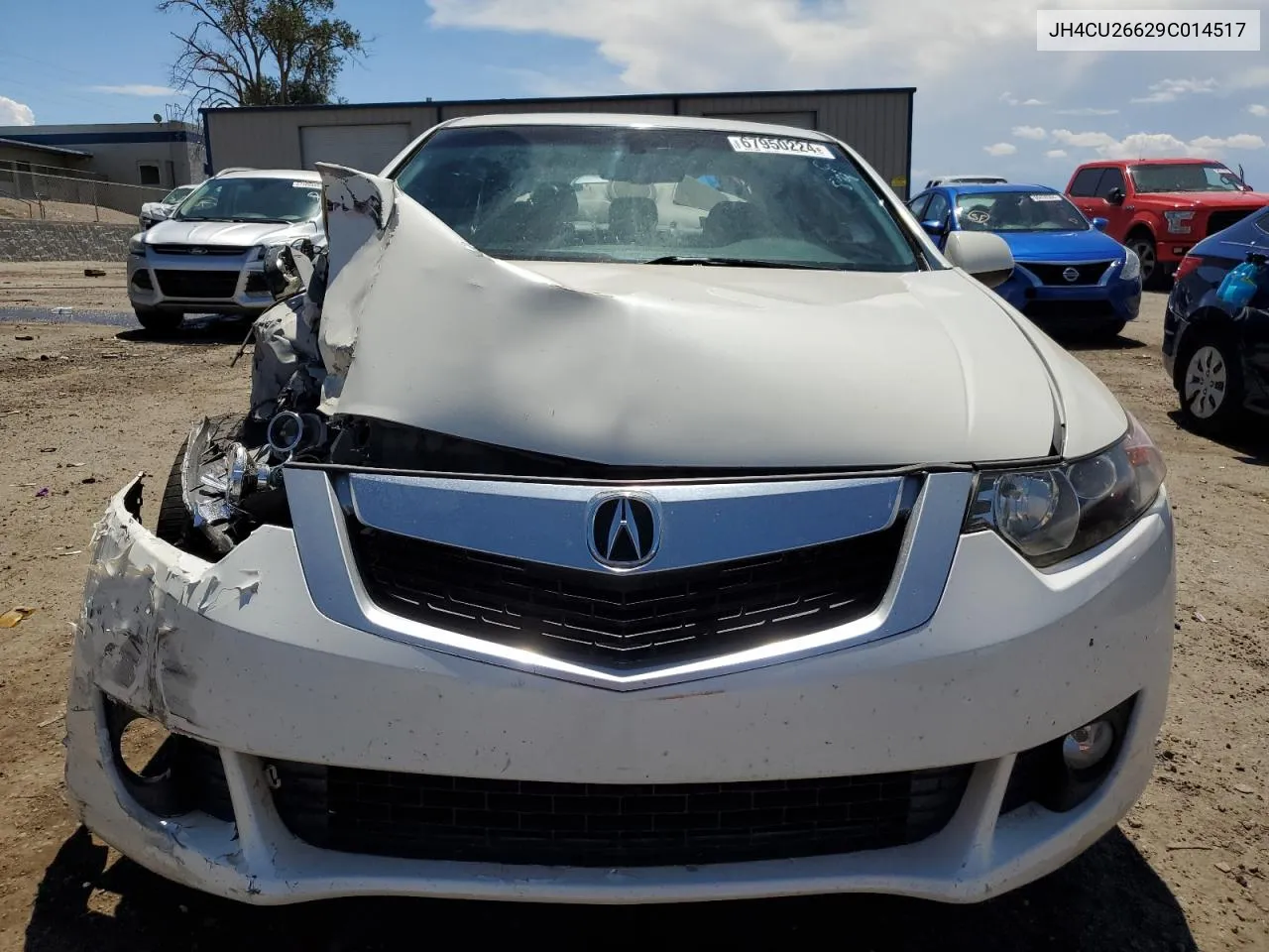 2009 Acura Tsx VIN: JH4CU26629C014517 Lot: 67950224