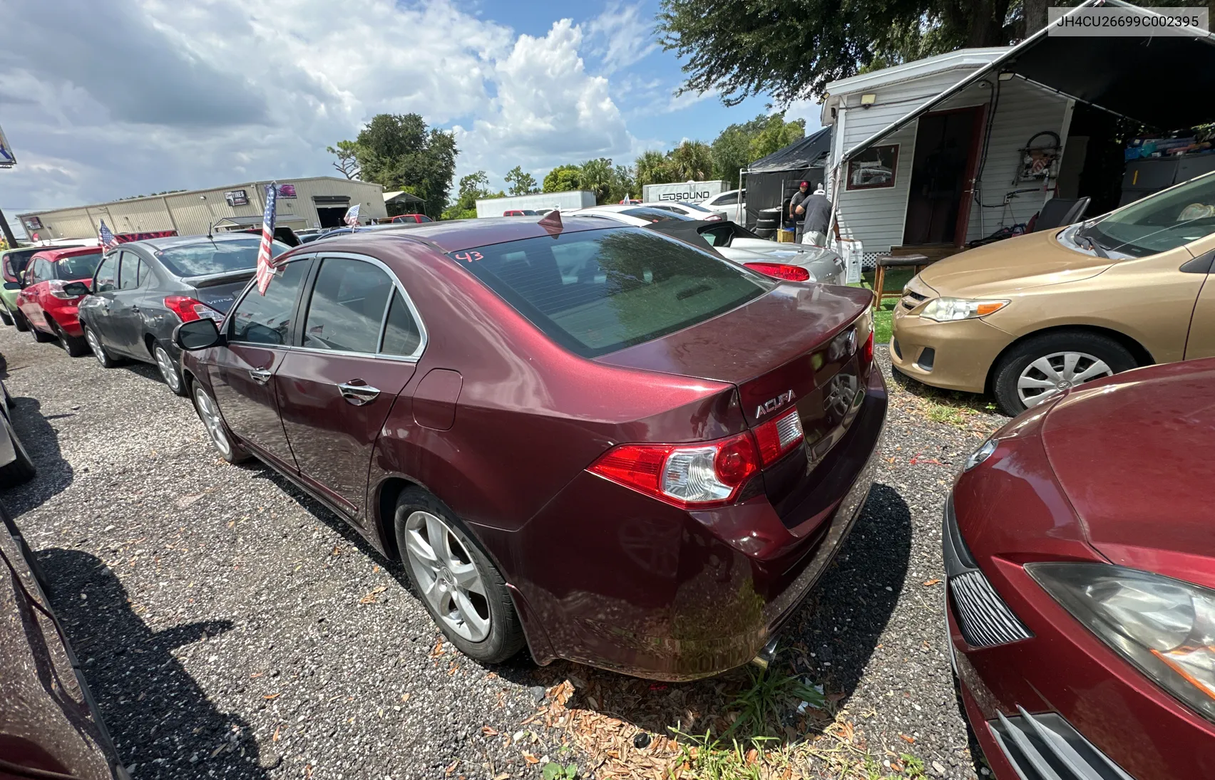 2009 Acura Tsx VIN: JH4CU26699C002395 Lot: 68125564