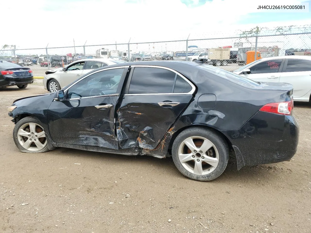 2009 Acura Tsx VIN: JH4CU26619C005081 Lot: 68418694