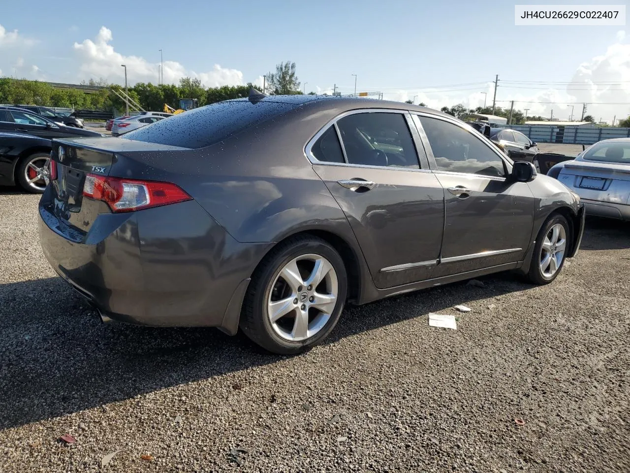 2009 Acura Tsx VIN: JH4CU26629C022407 Lot: 69374114