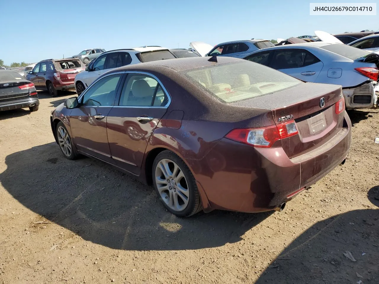 2009 Acura Tsx VIN: JH4CU26679C014710 Lot: 69510284