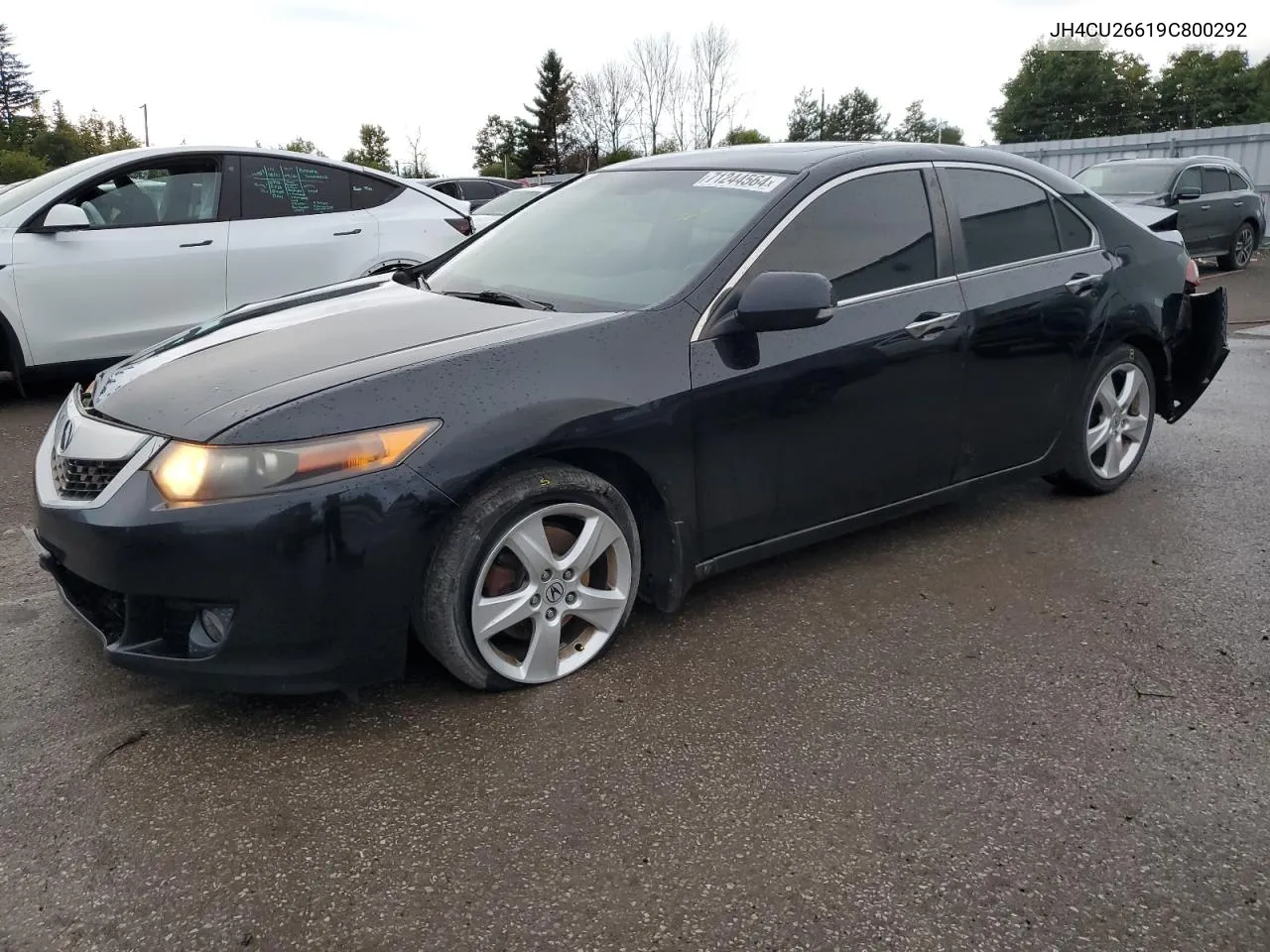 2009 Acura Tsx VIN: JH4CU26619C800292 Lot: 71244564