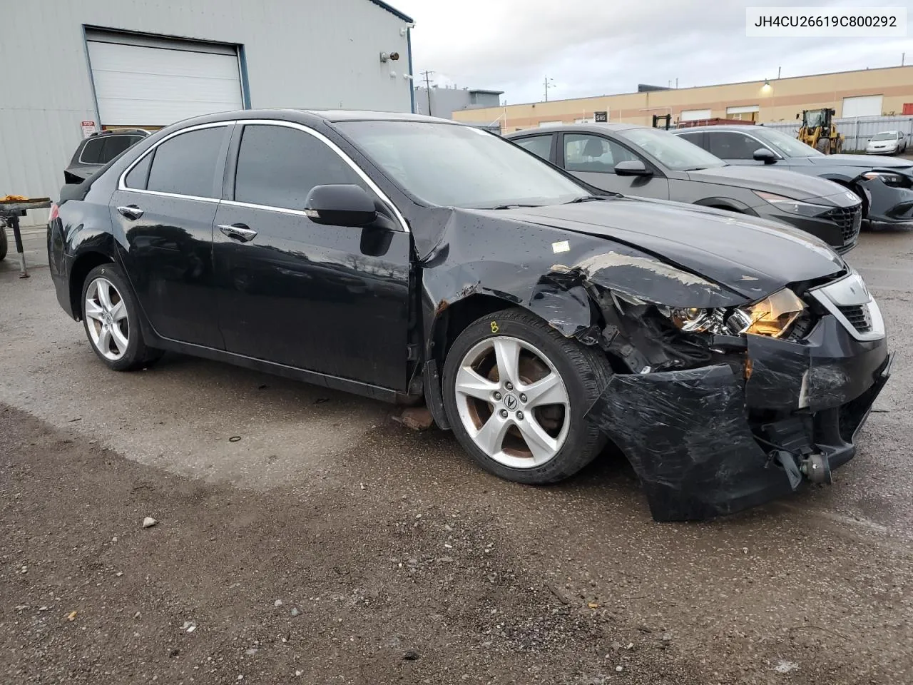 2009 Acura Tsx VIN: JH4CU26619C800292 Lot: 71244564