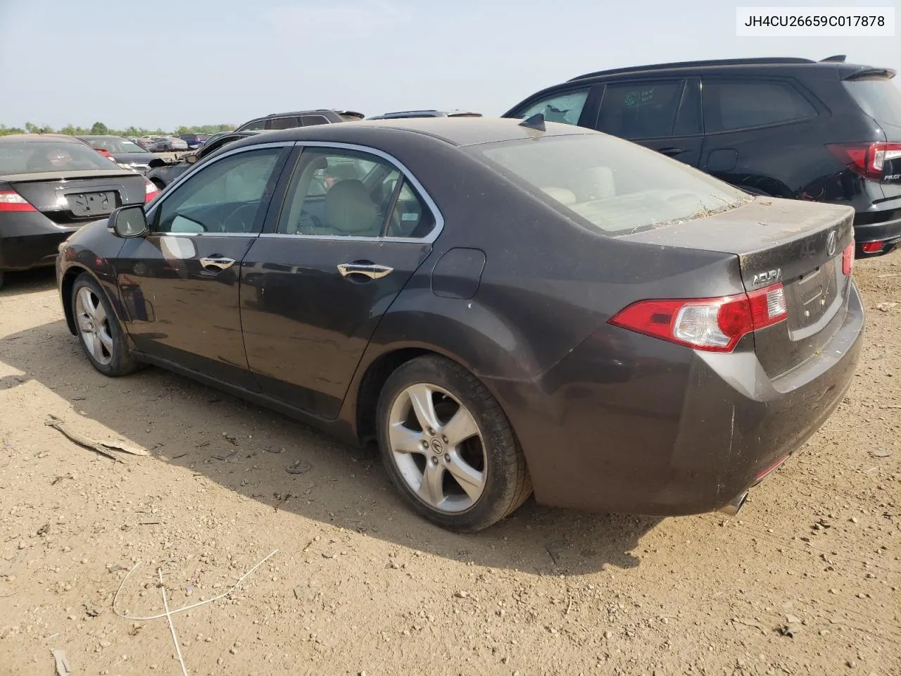 2009 Acura Tsx VIN: JH4CU26659C017878 Lot: 73641484