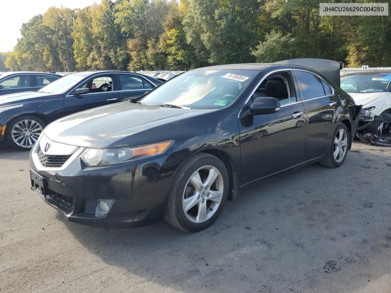 2009 Acura Tsx VIN: JH4CU26629C004280 Lot: 74755084