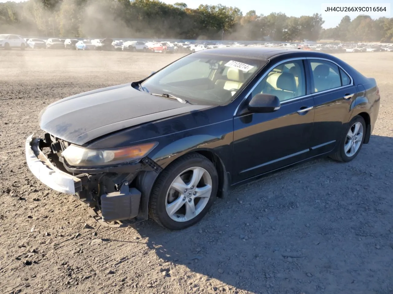 2009 Acura Tsx VIN: JH4CU266X9C016564 Lot: 77123214