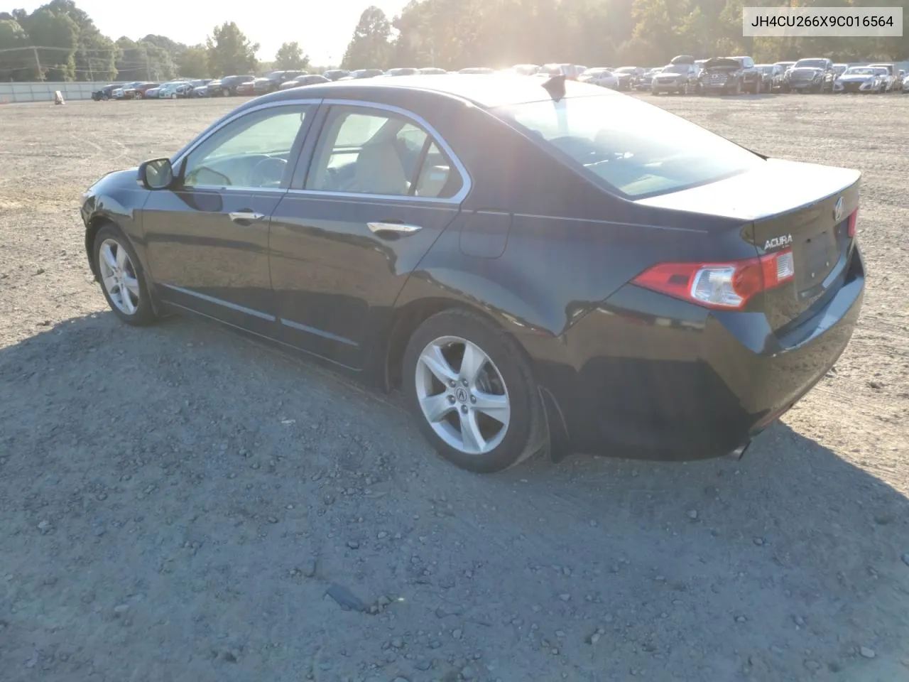 2009 Acura Tsx VIN: JH4CU266X9C016564 Lot: 77123214