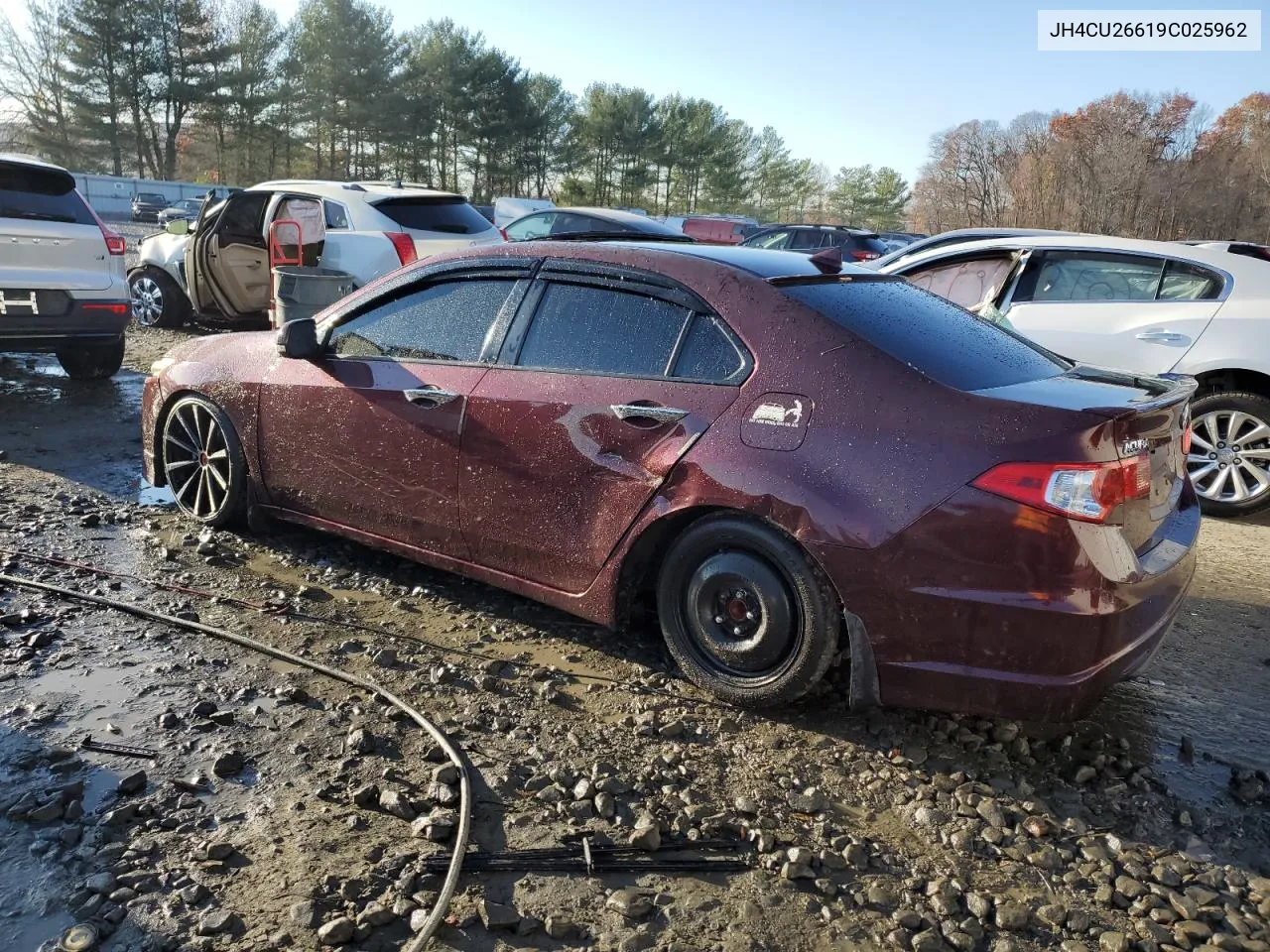 2009 Acura Tsx VIN: JH4CU26619C025962 Lot: 77611164