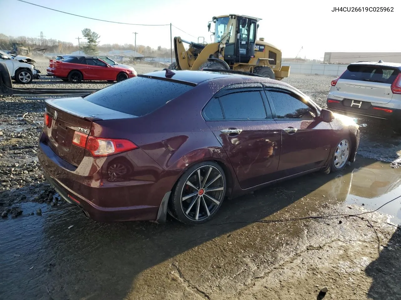 2009 Acura Tsx VIN: JH4CU26619C025962 Lot: 77611164