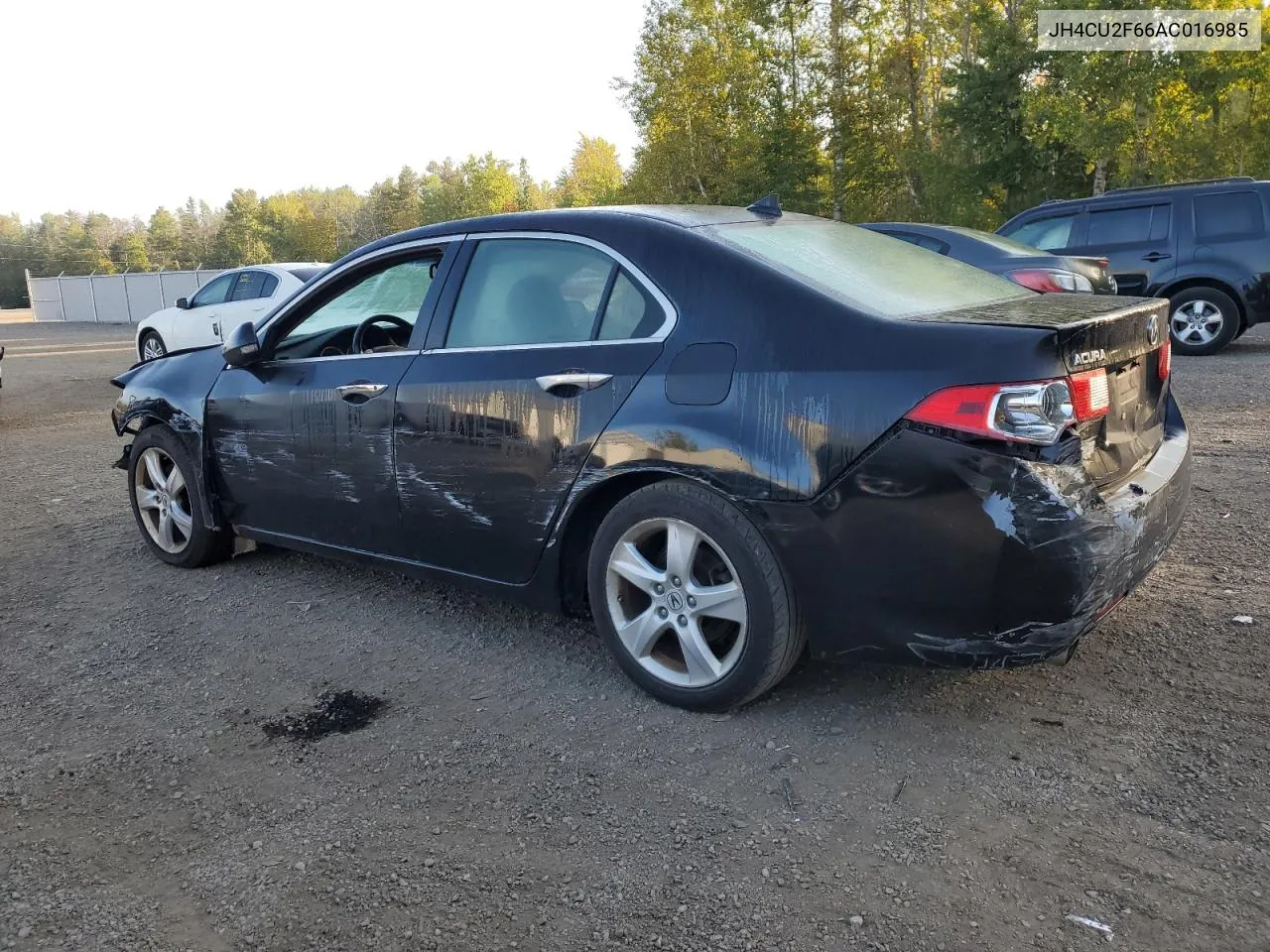 2010 Acura Tsx VIN: JH4CU2F66AC016985 Lot: 69508624