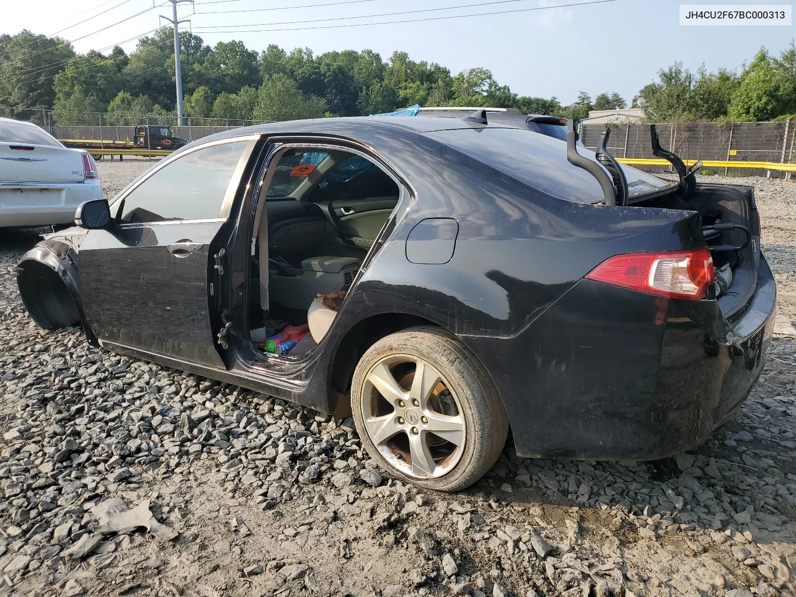 2011 Acura Tsx VIN: JH4CU2F67BC000313 Lot: 64825664