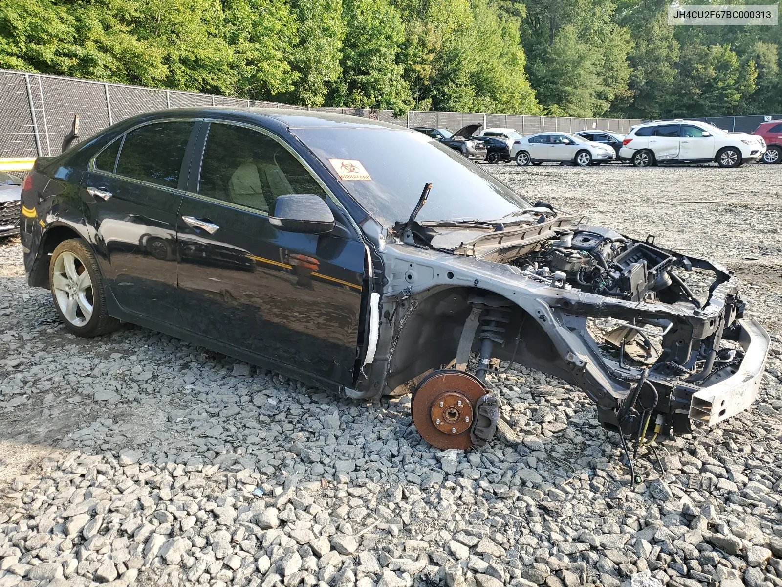 2011 Acura Tsx VIN: JH4CU2F67BC000313 Lot: 64825664