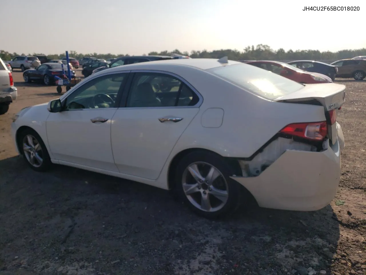 2011 Acura Tsx VIN: JH4CU2F65BC018020 Lot: 68955894