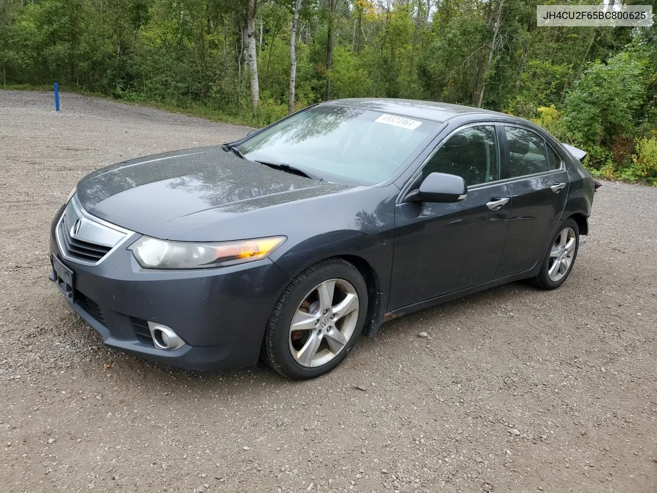 2011 Acura Tsx VIN: JH4CU2F65BC800625 Lot: 69324964