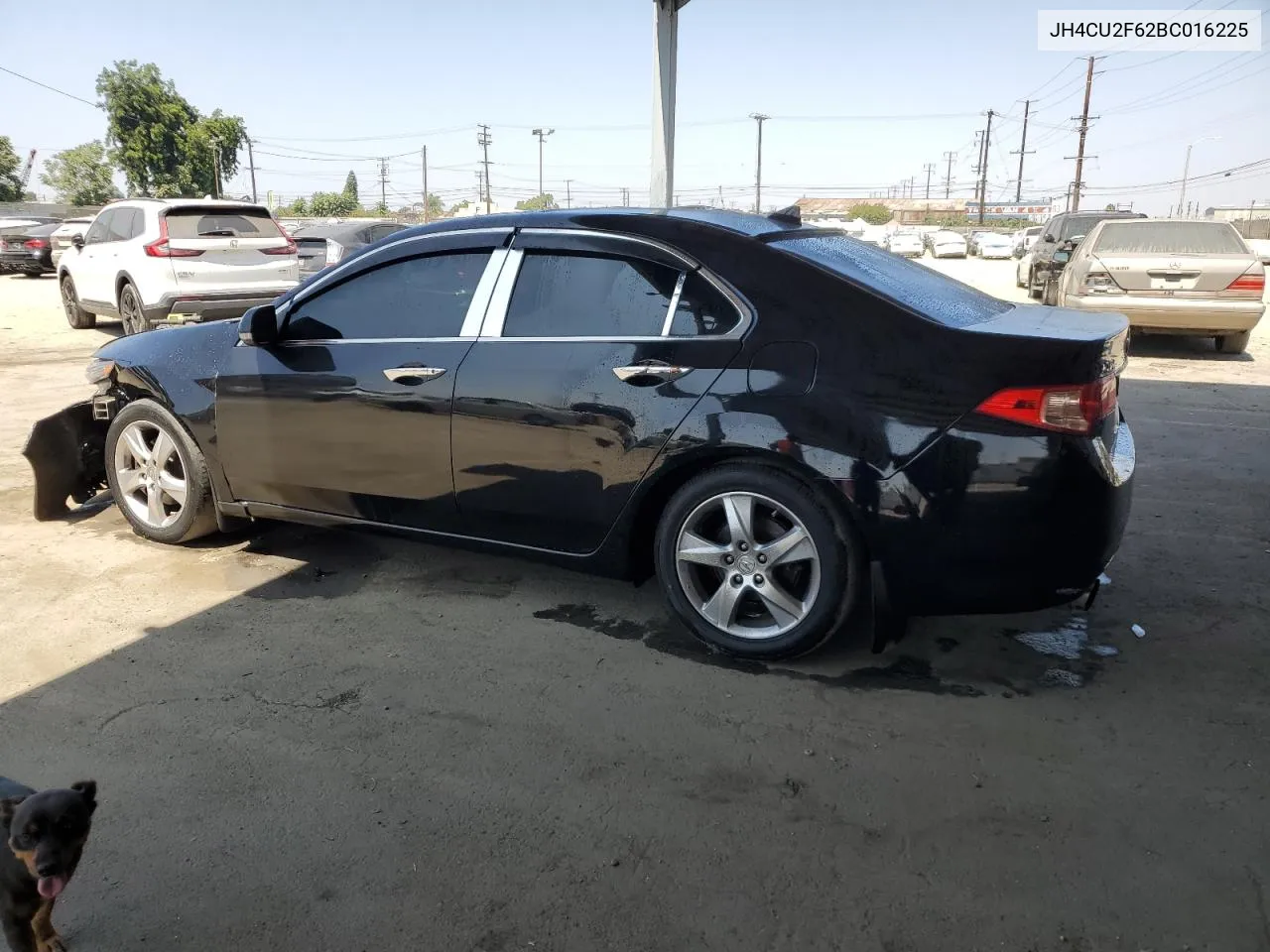 2011 Acura Tsx VIN: JH4CU2F62BC016225 Lot: 69522584