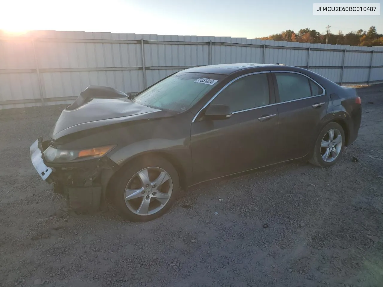 2011 Acura Tsx VIN: JH4CU2E60BC010487 Lot: 77331364