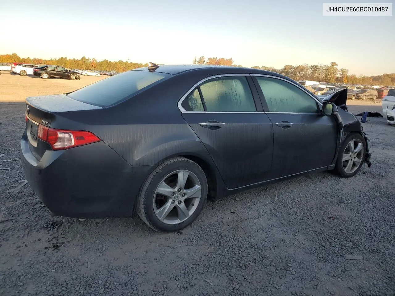 2011 Acura Tsx VIN: JH4CU2E60BC010487 Lot: 77331364