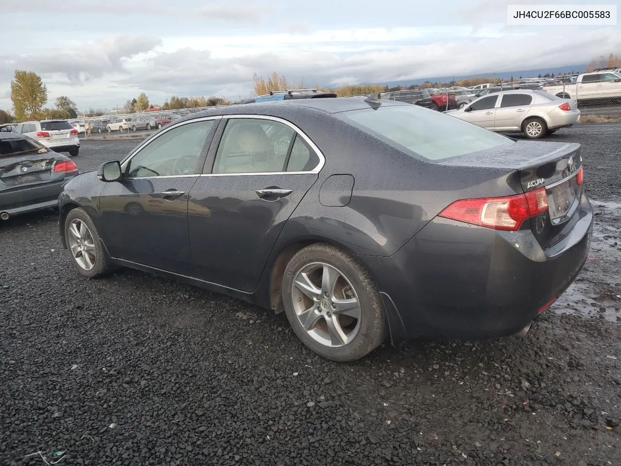 2011 Acura Tsx VIN: JH4CU2F66BC005583 Lot: 78528224