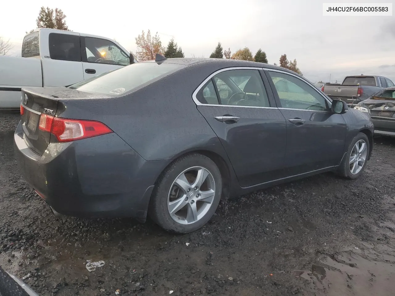 2011 Acura Tsx VIN: JH4CU2F66BC005583 Lot: 78528224