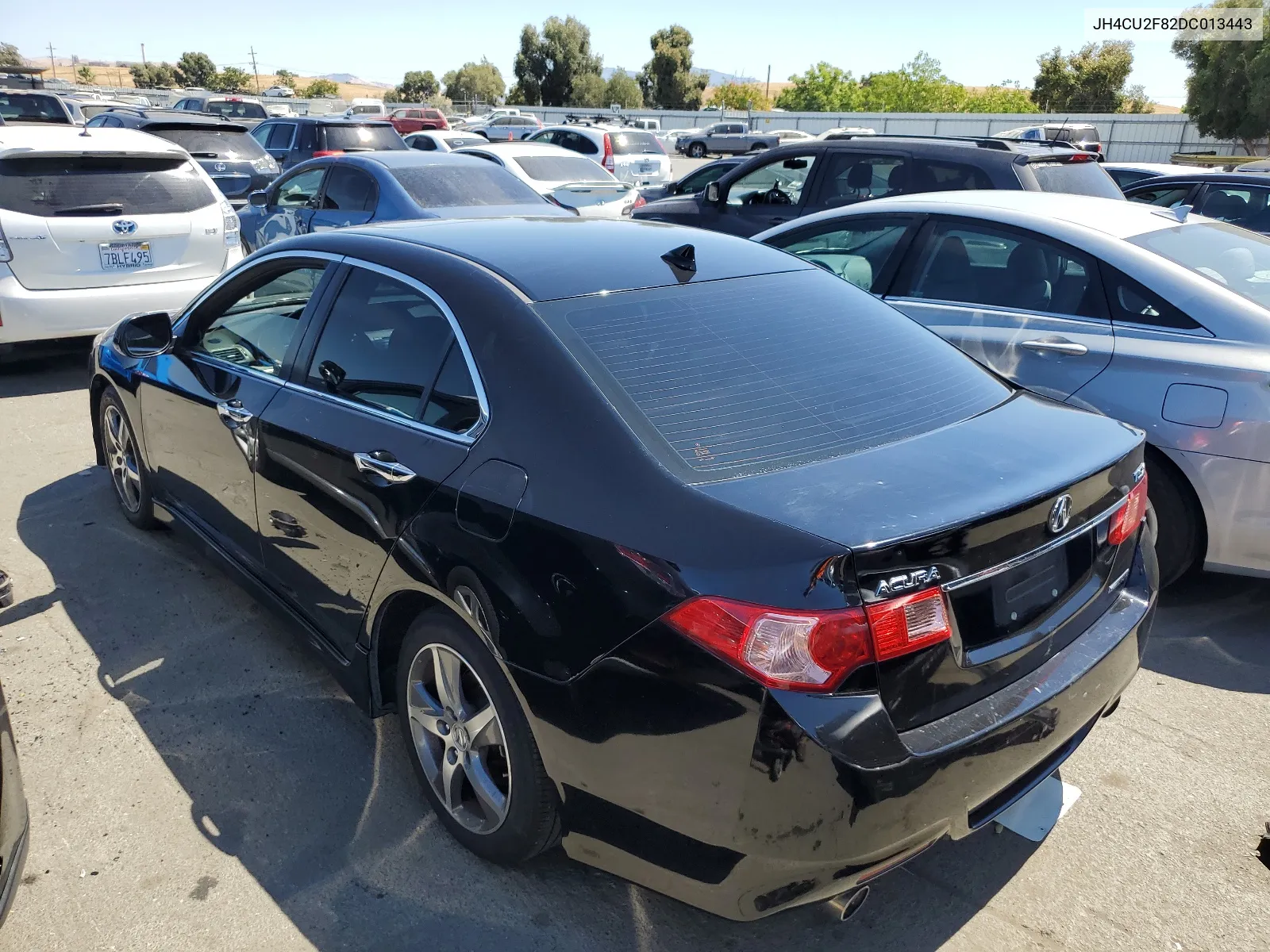 2013 Acura Tsx Se VIN: JH4CU2F82DC013443 Lot: 68455874