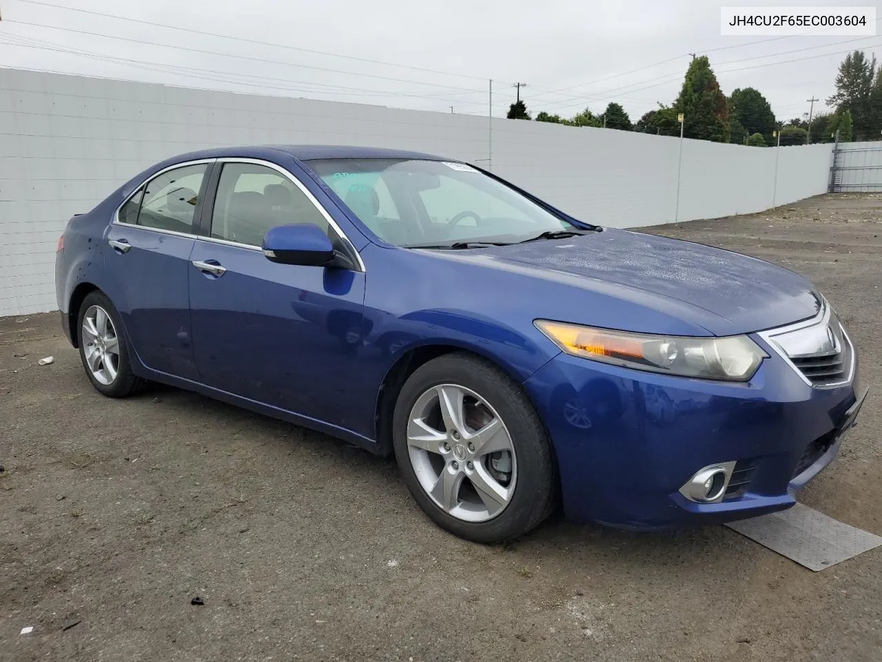 2014 Acura Tsx Tech VIN: JH4CU2F65EC003604 Lot: 71965804