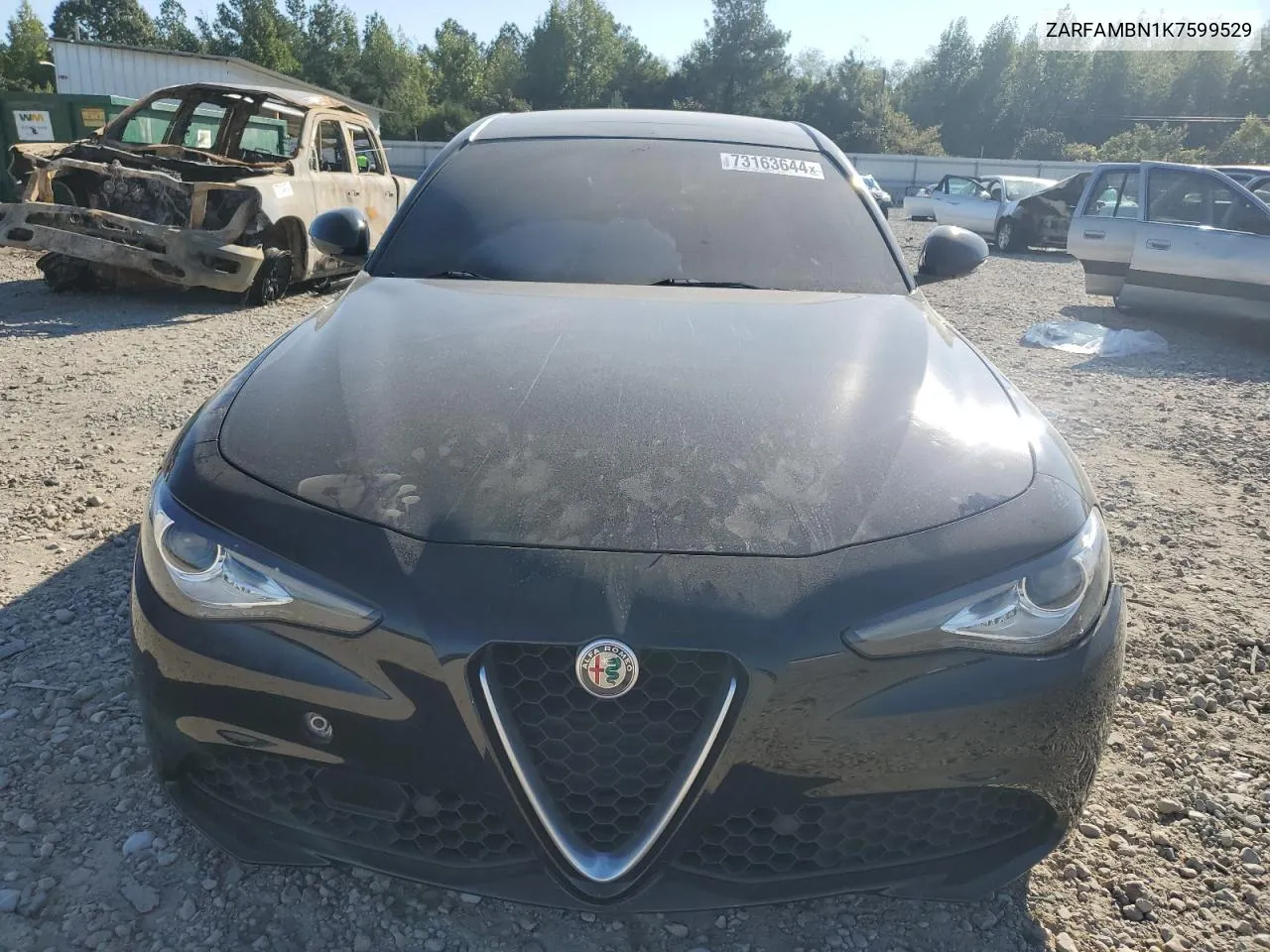 2019 Alfa Romeo Giulia Ti VIN: ZARFAMBN1K7599529 Lot: 73163644