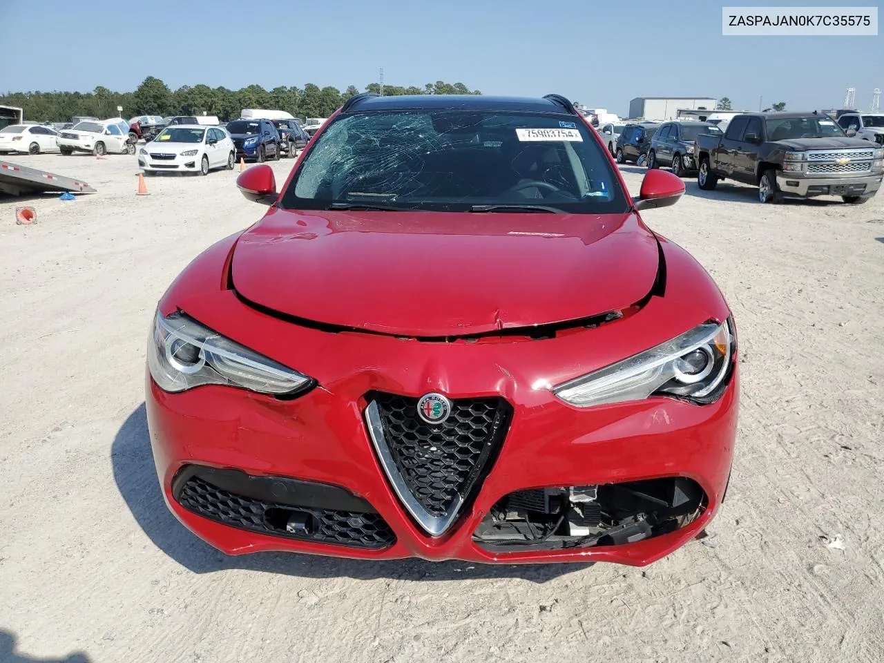 2019 Alfa Romeo Stelvio VIN: ZASPAJAN0K7C35575 Lot: 75903754