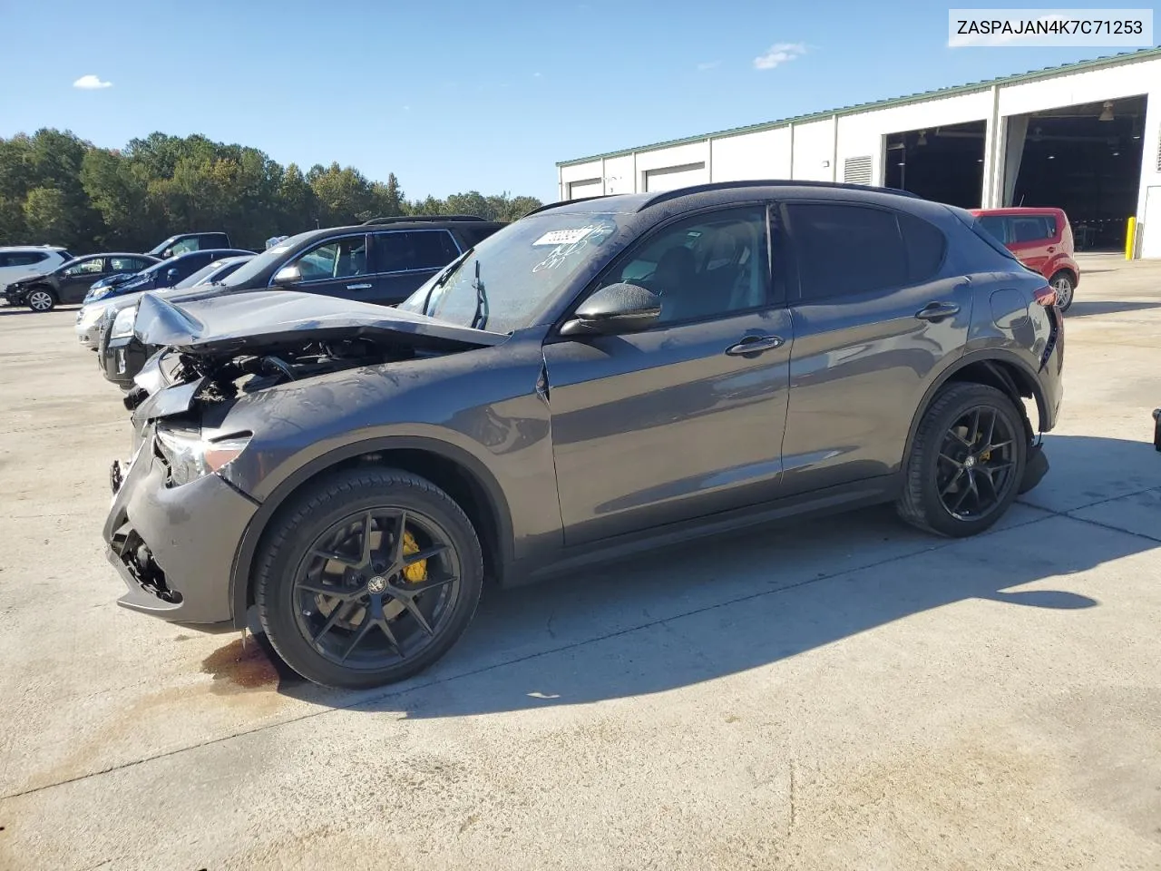 2019 Alfa Romeo Stelvio VIN: ZASPAJAN4K7C71253 Lot: 77332924