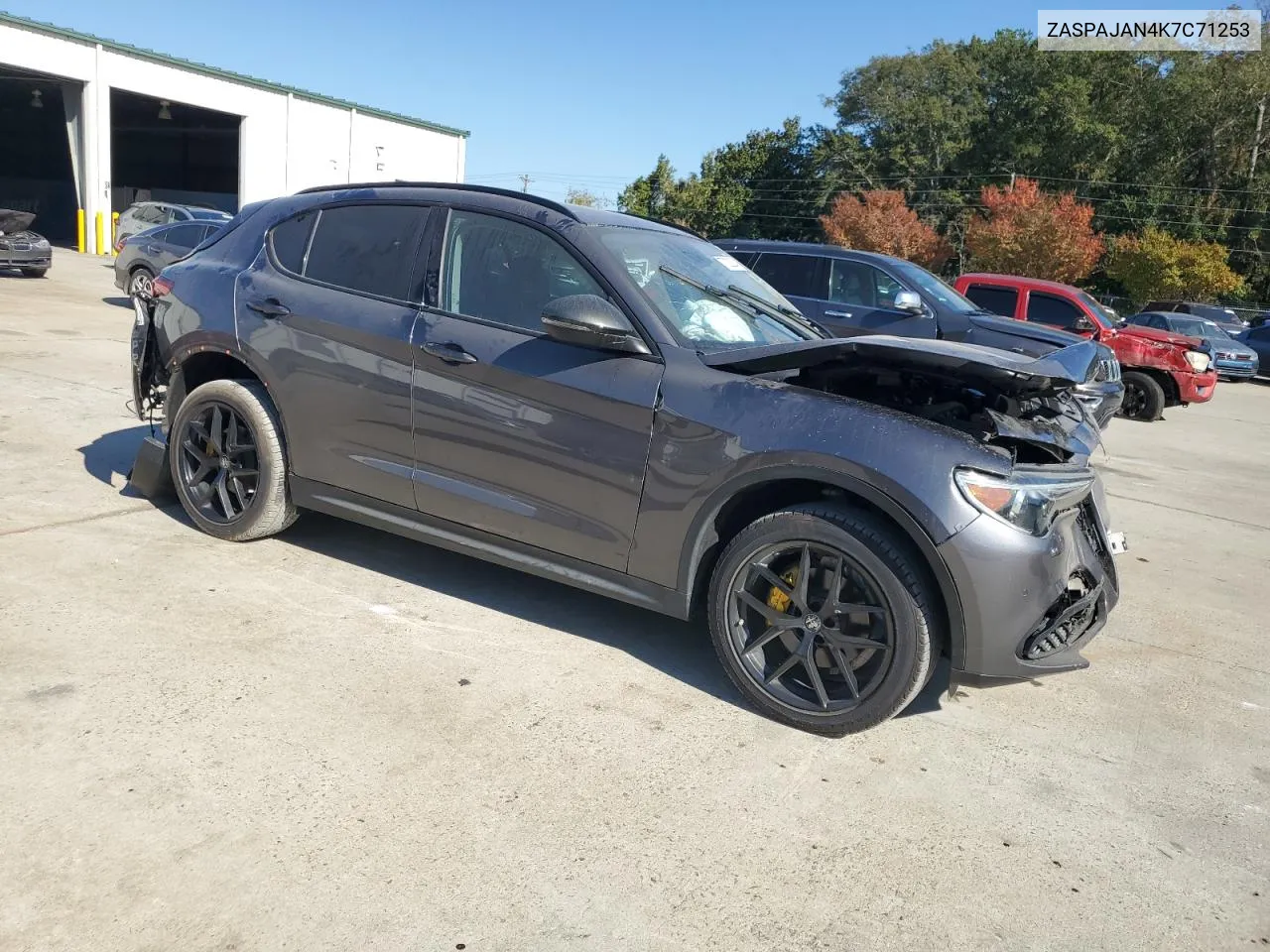 2019 Alfa Romeo Stelvio VIN: ZASPAJAN4K7C71253 Lot: 77332924