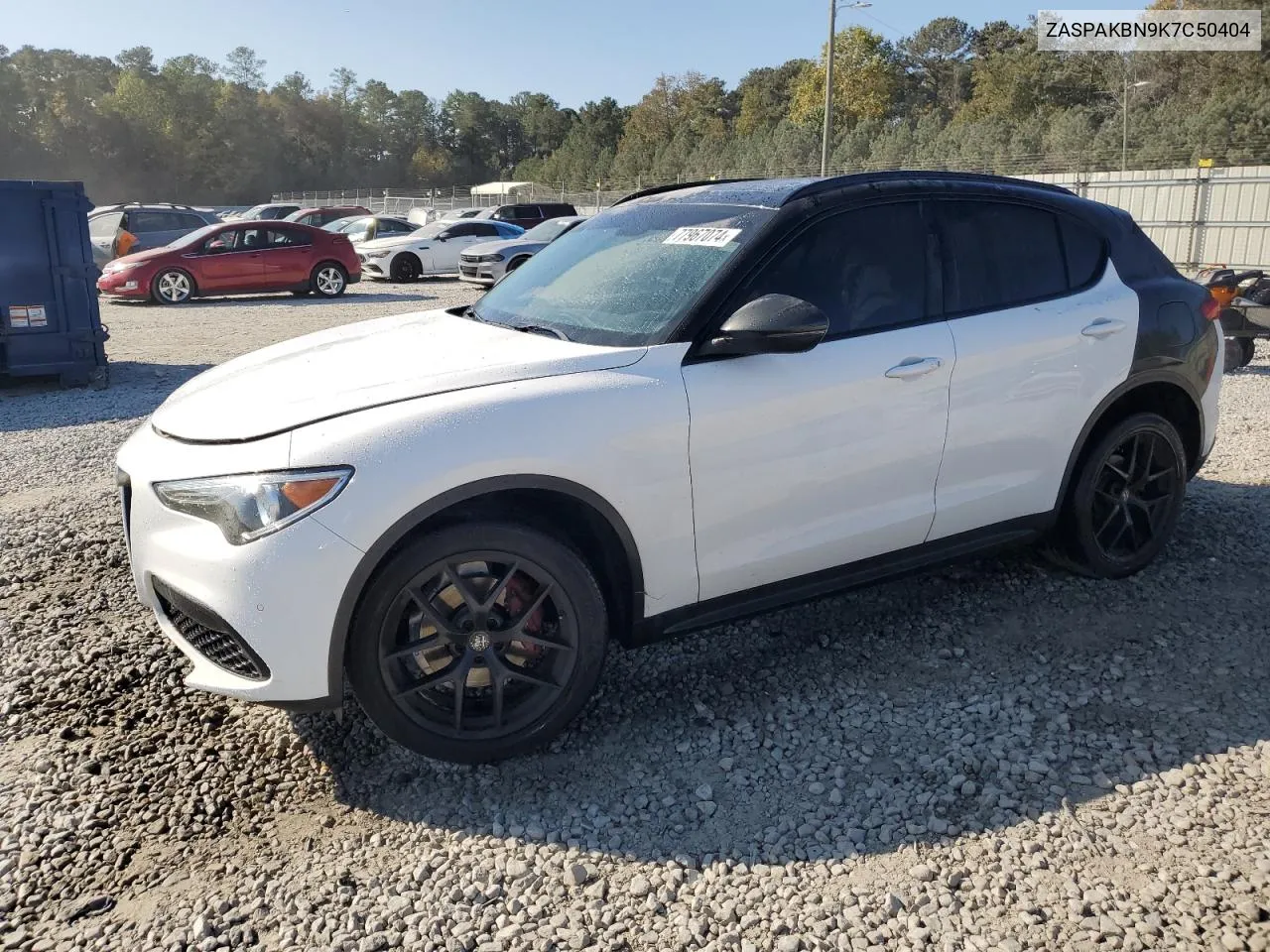 2019 Alfa Romeo Stelvio Ti VIN: ZASPAKBN9K7C50404 Lot: 77967074