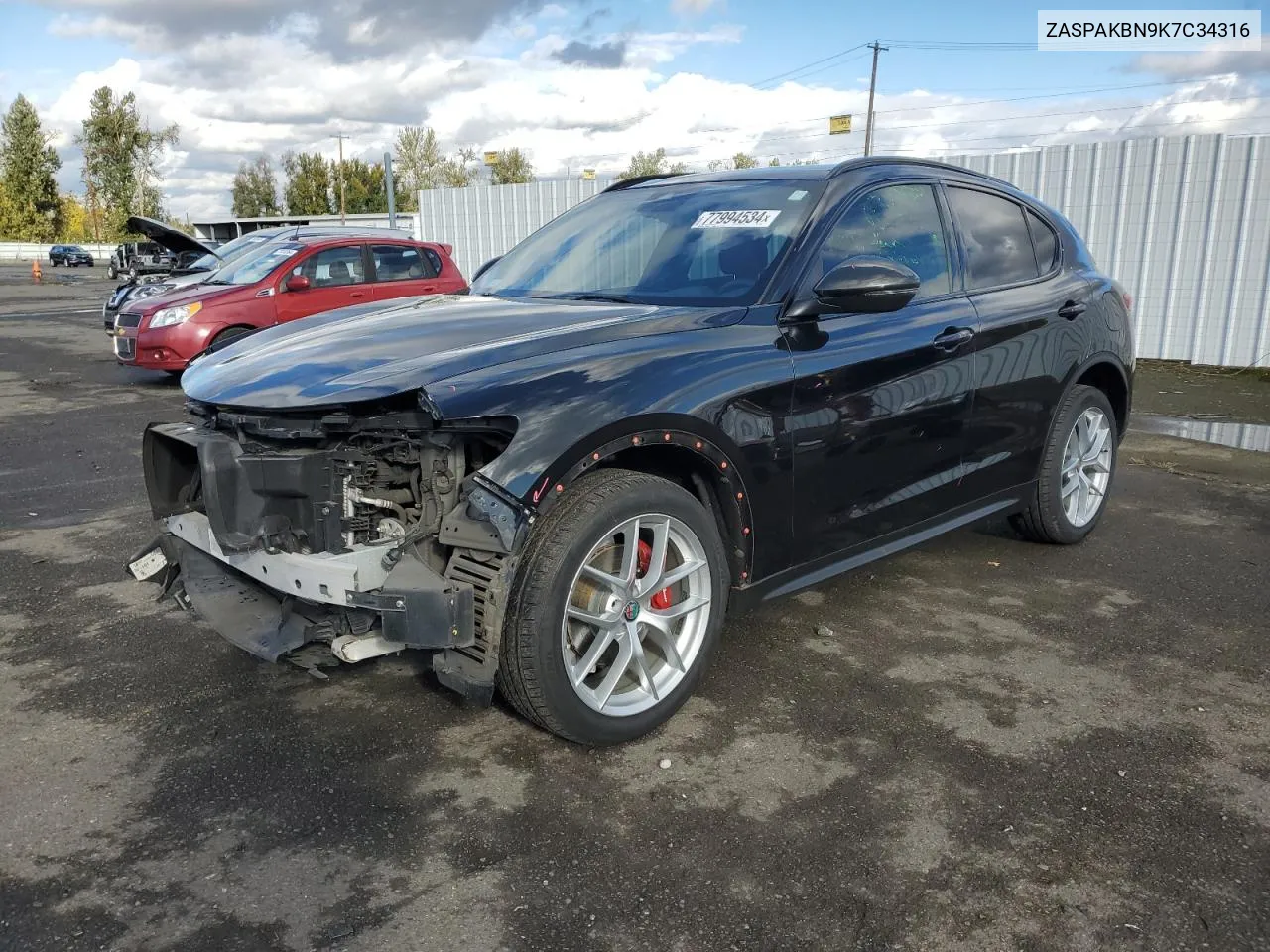 2019 Alfa Romeo Stelvio Ti VIN: ZASPAKBN9K7C34316 Lot: 77994534