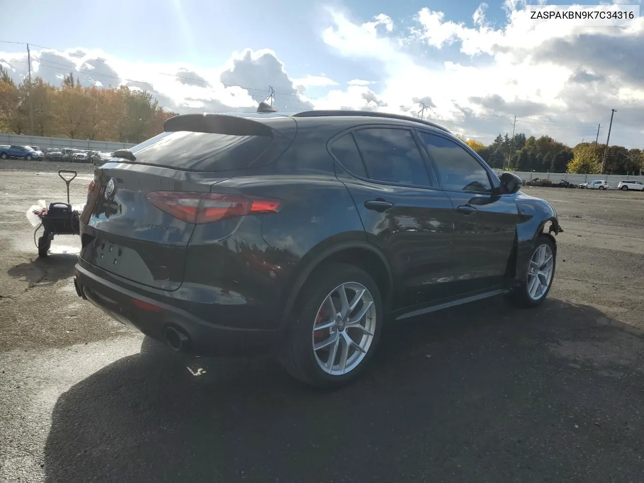 2019 Alfa Romeo Stelvio Ti VIN: ZASPAKBN9K7C34316 Lot: 77994534