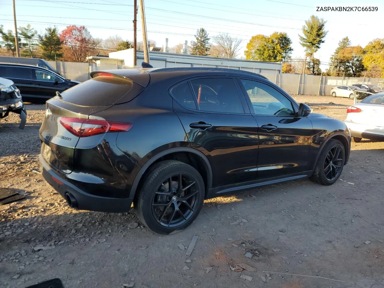 2019 Alfa Romeo Stelvio Ti VIN: ZASPAKBN2K7C66539 Lot: 80966184