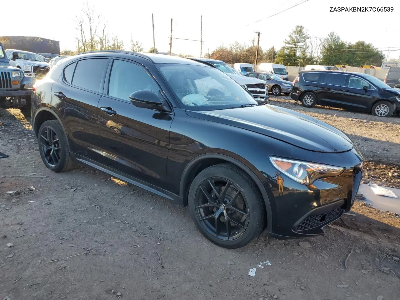 2019 Alfa Romeo Stelvio Ti VIN: ZASPAKBN2K7C66539 Lot: 80966184