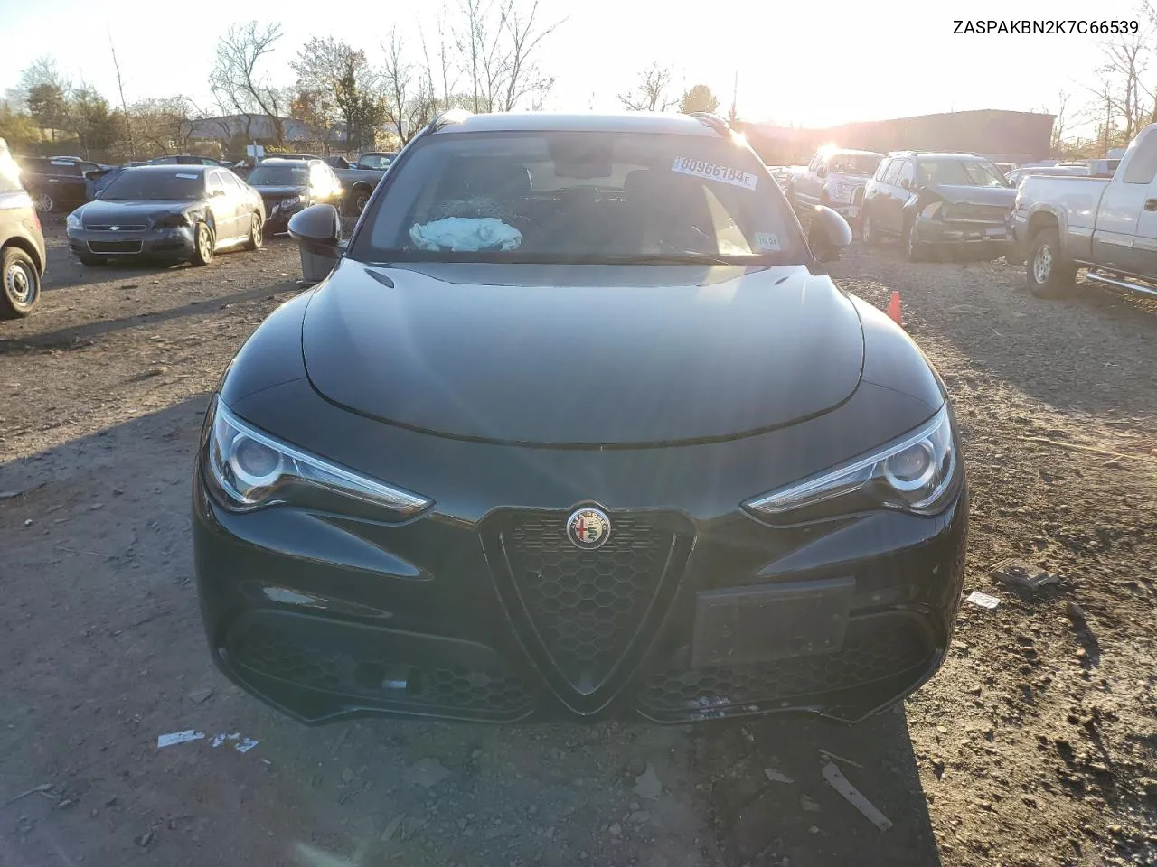 2019 Alfa Romeo Stelvio Ti VIN: ZASPAKBN2K7C66539 Lot: 80966184