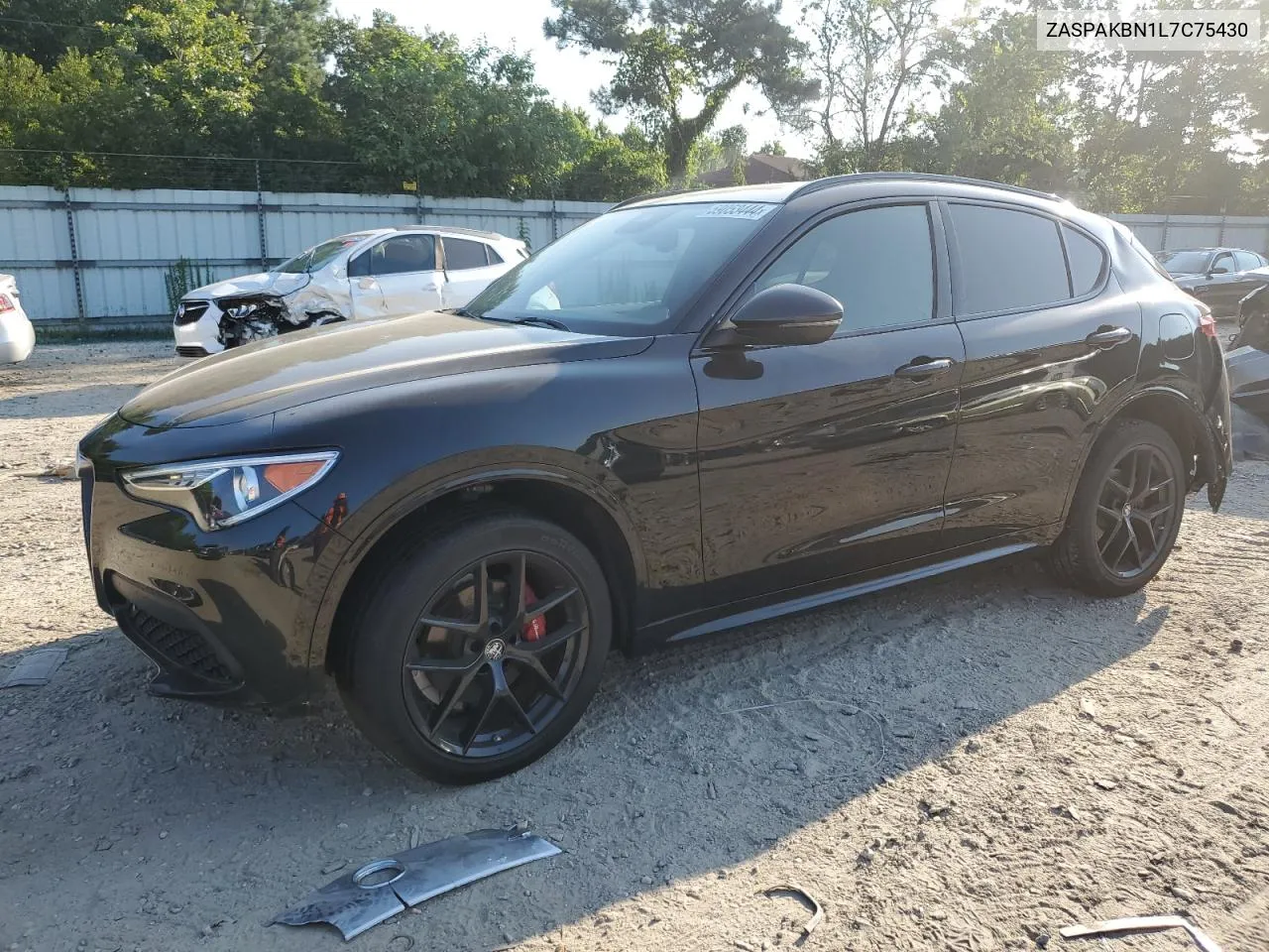 2020 Alfa Romeo Stelvio Ti VIN: ZASPAKBN1L7C75430 Lot: 59053444